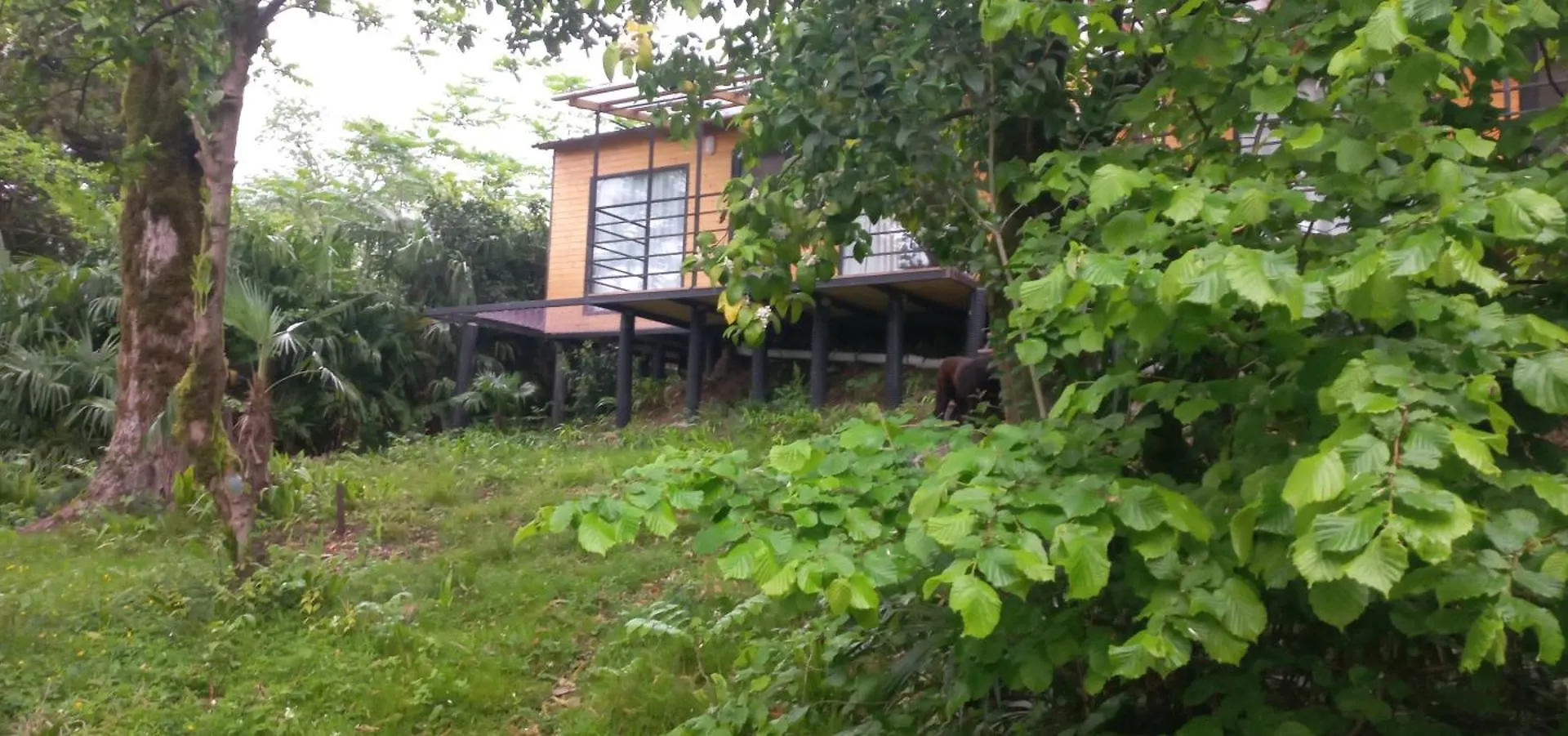 Vila Kottage Anania Batumi Gruzie